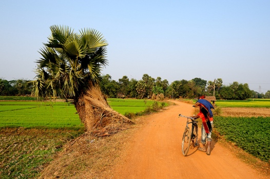 Bengal Govt to construct 13,000 km of rural roads