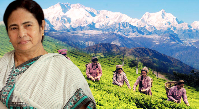 No politics in the development of Hills: WB CM No politics in the development of Hills: WB CM