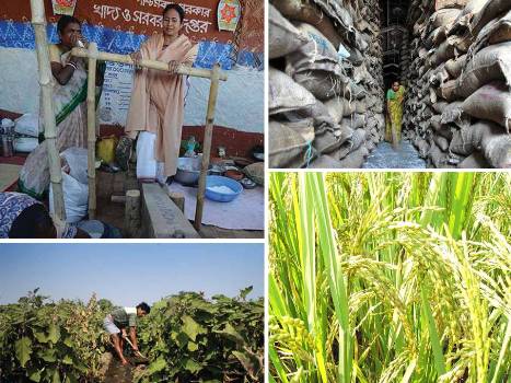 1000 days at glance: Food for all