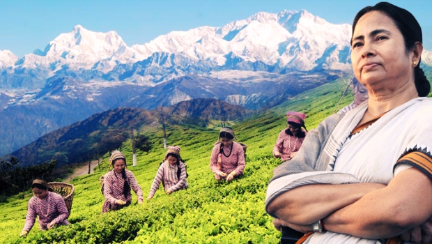 1000 days at a glance: Initiatives for Darjeeling