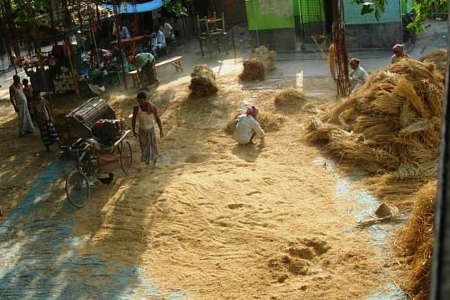 Bangla Govt to set up mills for rice and pulses, to be sold from Sufal Bangla stalls