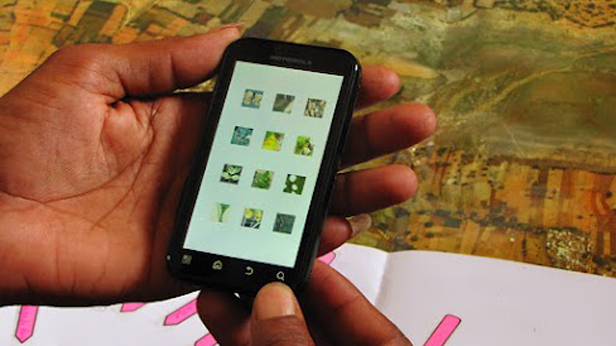 State Govt to come out with interactive app for restaurants