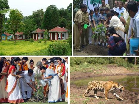 1000 days at a glance: Conservation of forests