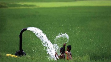 Rs 4,200 Cr to boost power transmission for irrigation in Bengal