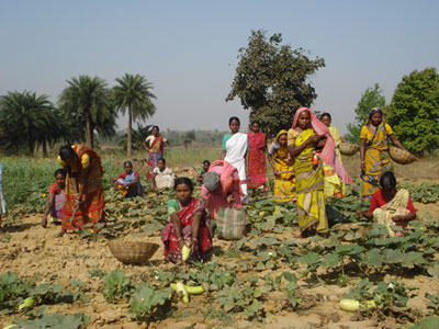 Self-employment: Towards rural empowerment of Bengal