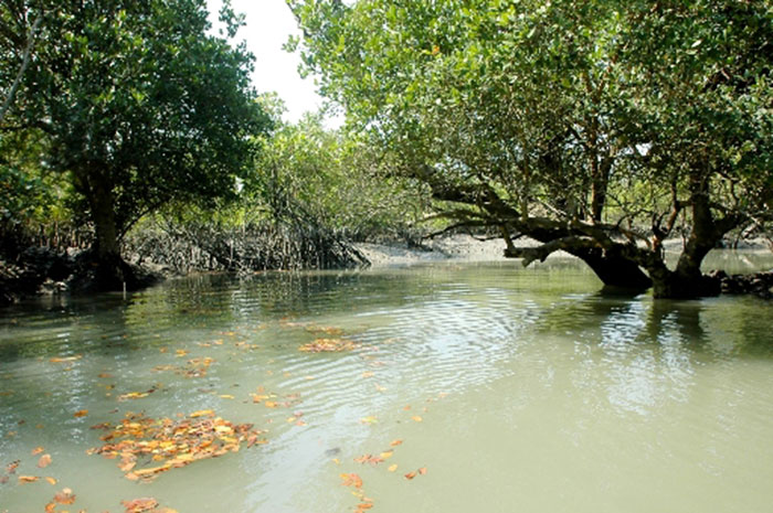 image_gallery
