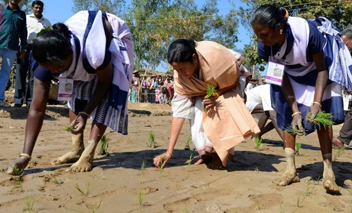WB CM to interact with farmers during ‘Krishi Katha’