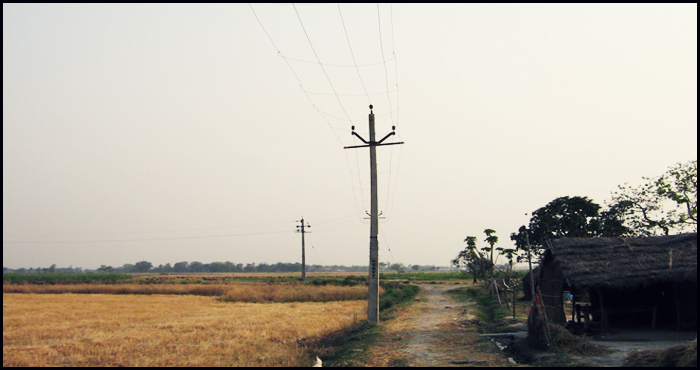 Rural electrification to be completed in Bengal soon Rural electrification to be completed in Bengal soon
