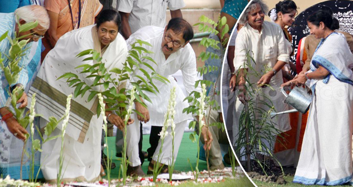 West Bengal Forest department makes elaborate plans for Van Mahotsav West Bengal Forest department makes elaborate plans for Van Mahotsav