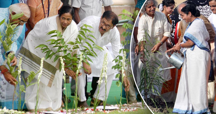 WB CM to inaugurate Van Mahotsav on July 14 WB CM to inaugurate Van Mahotsav on July 14
