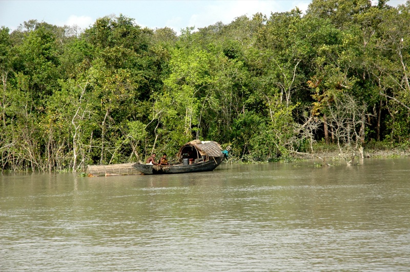 45 cyclone shelters in the Sunderbans