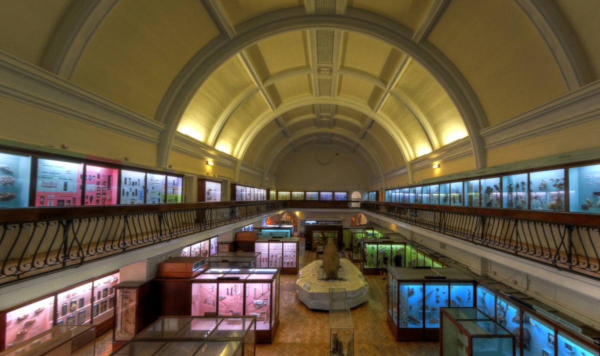 A musical museum to come up soon in Bengal