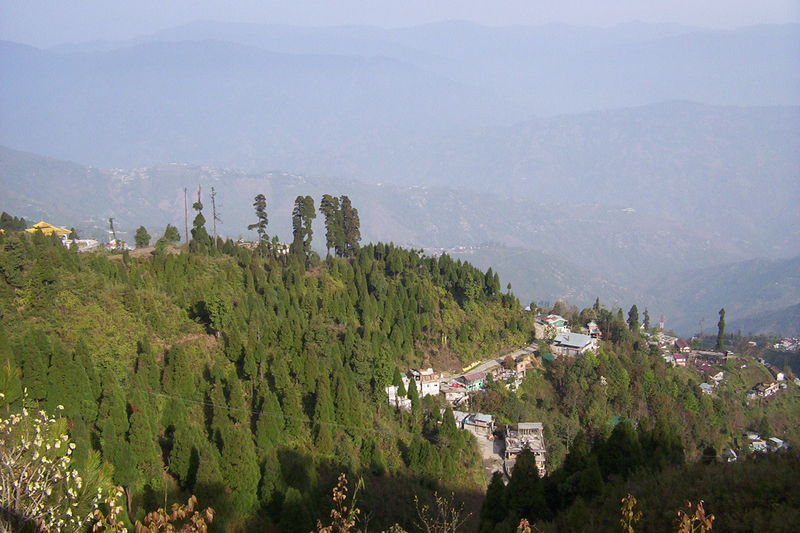 Large-scale coffee cultivation in Darjeeling by State Govt