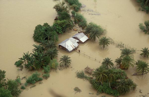 WB Agri Dept encourages flood-affected farmers to take up alternative farming
