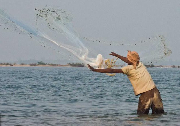 West Bengal Government to set up lab to boost fish productivity, eliminate diseases