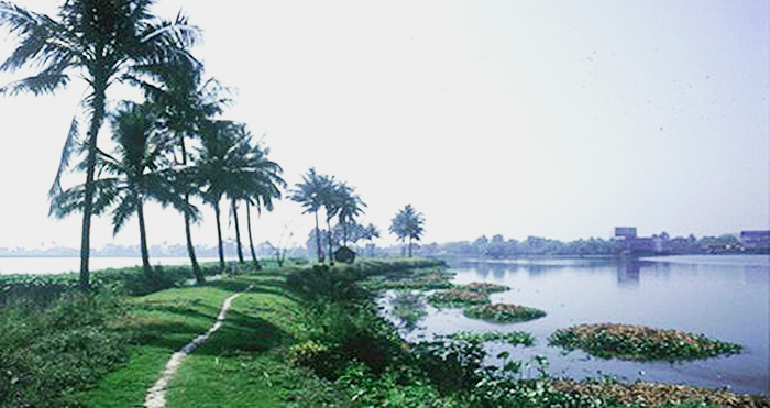 Protection of wetlands and coastal zones in Bengal