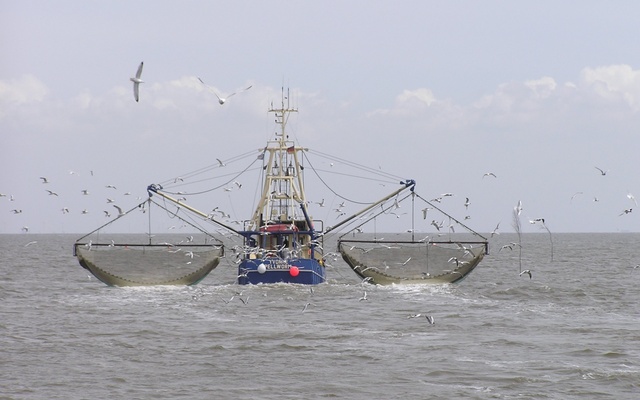 GPS to be installed in all trawlers