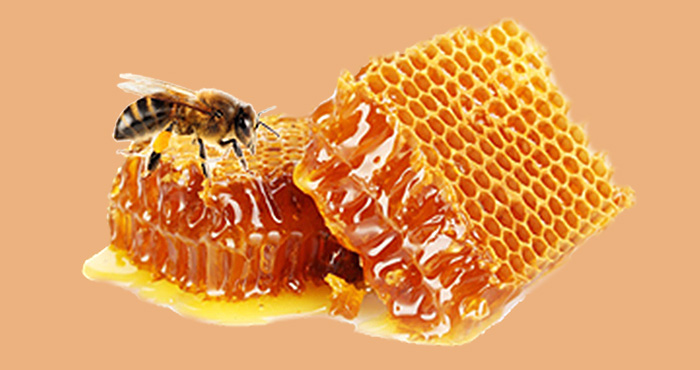 Bangla’s first Honey Hub coming up in Deganga