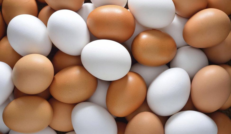 State Govt ramping up production of eggs