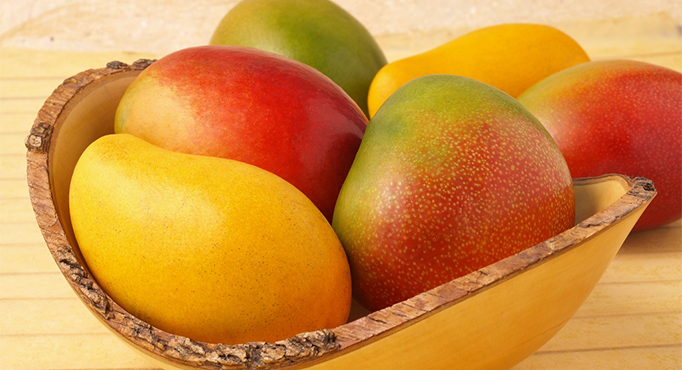 Three-day Bengal Mango Utsav starts today