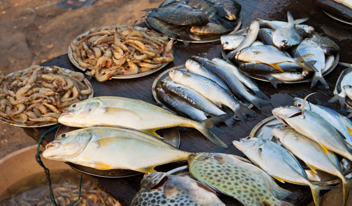 Fish from Bengal in high demand internationally