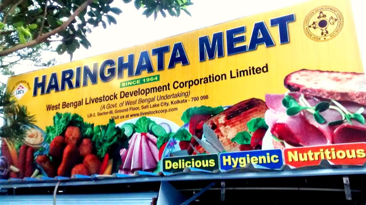 Haringhata Meat to launch chicken chips for the first time in India