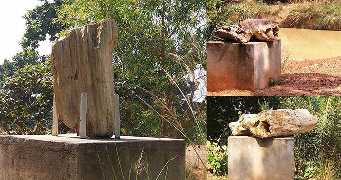 State Govt involving locals to preserve Fossil Park in Ilambazar
