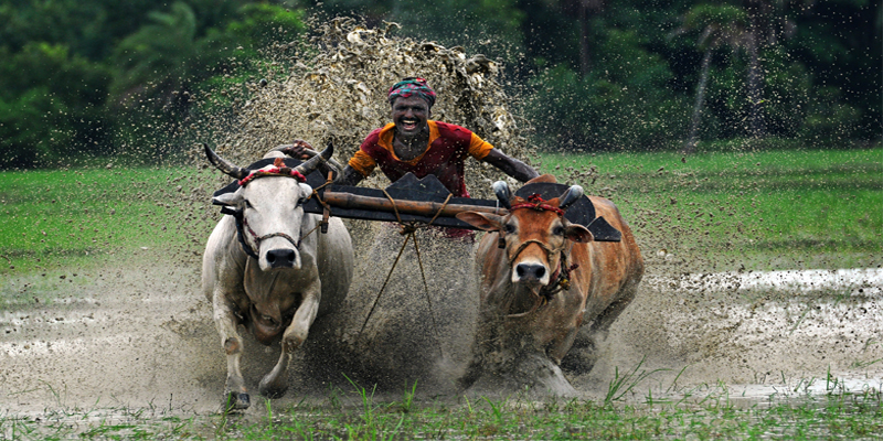 Bengal Govt to provide year-round training to farmers