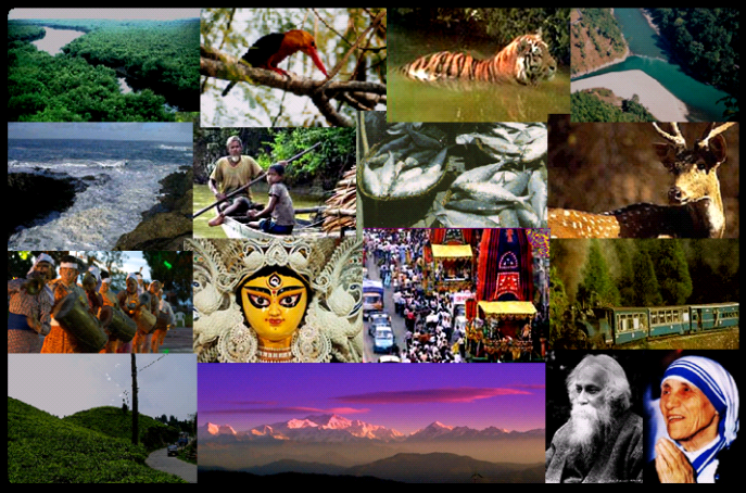 Funding for tourism sector goes up to Rs 400 crore in 6 years