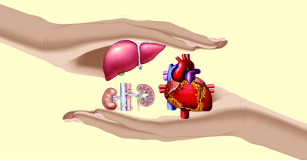 Organ donation awareness to be included in school curriculum in Bangla