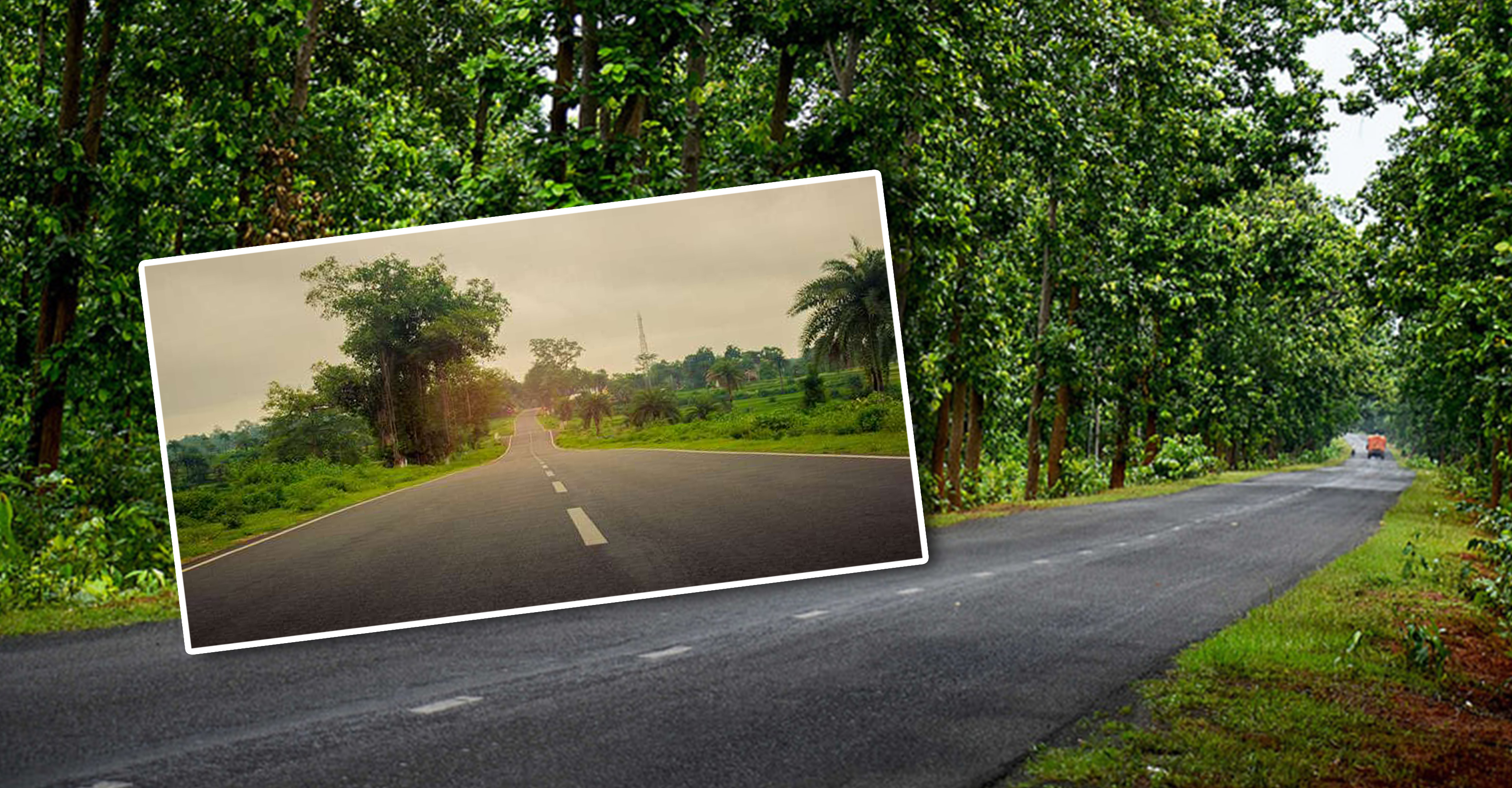 Bangla Govt to construct 5,000 km rural roads by March 31