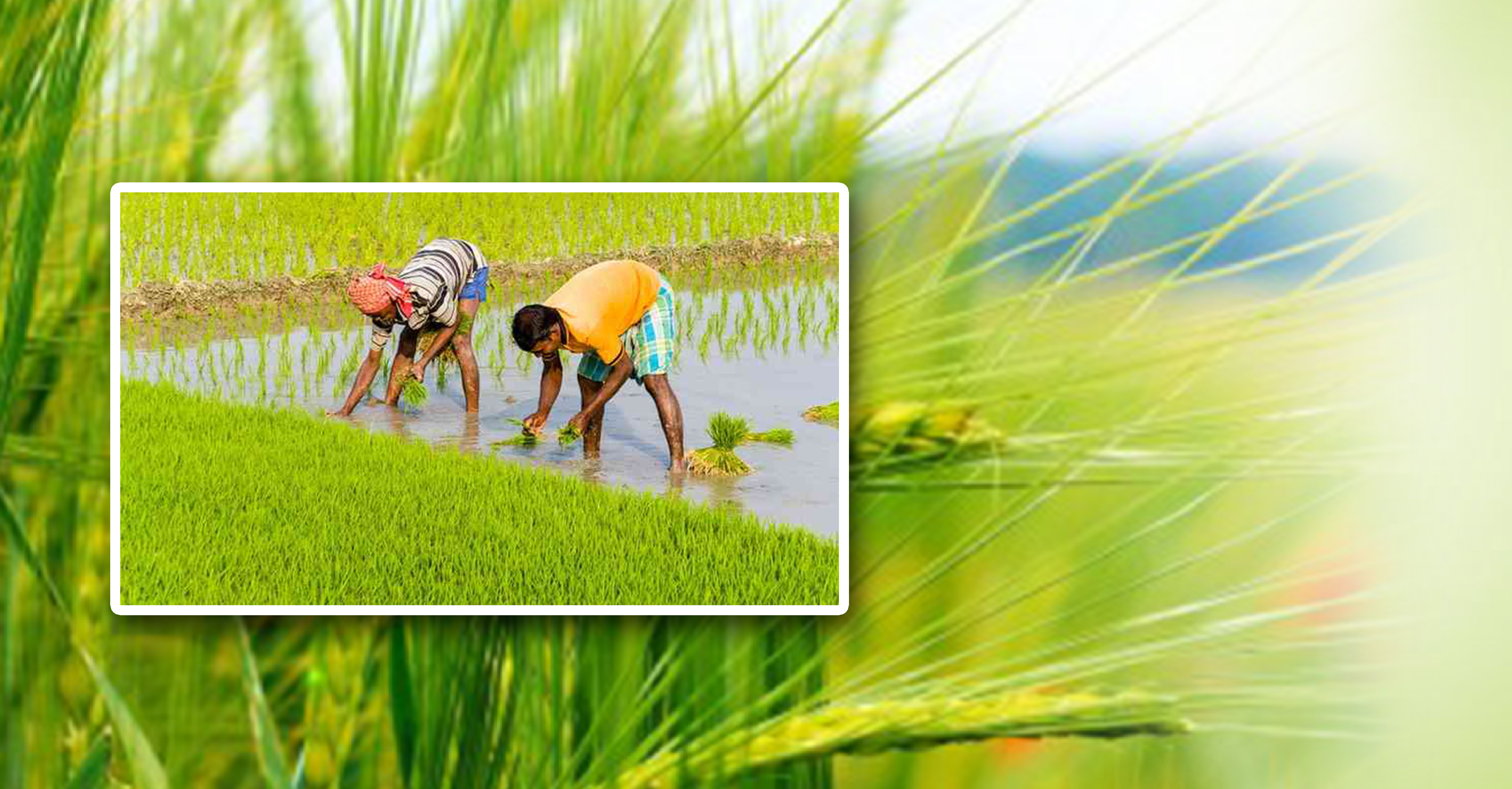 Bengal leading in cooperative movement