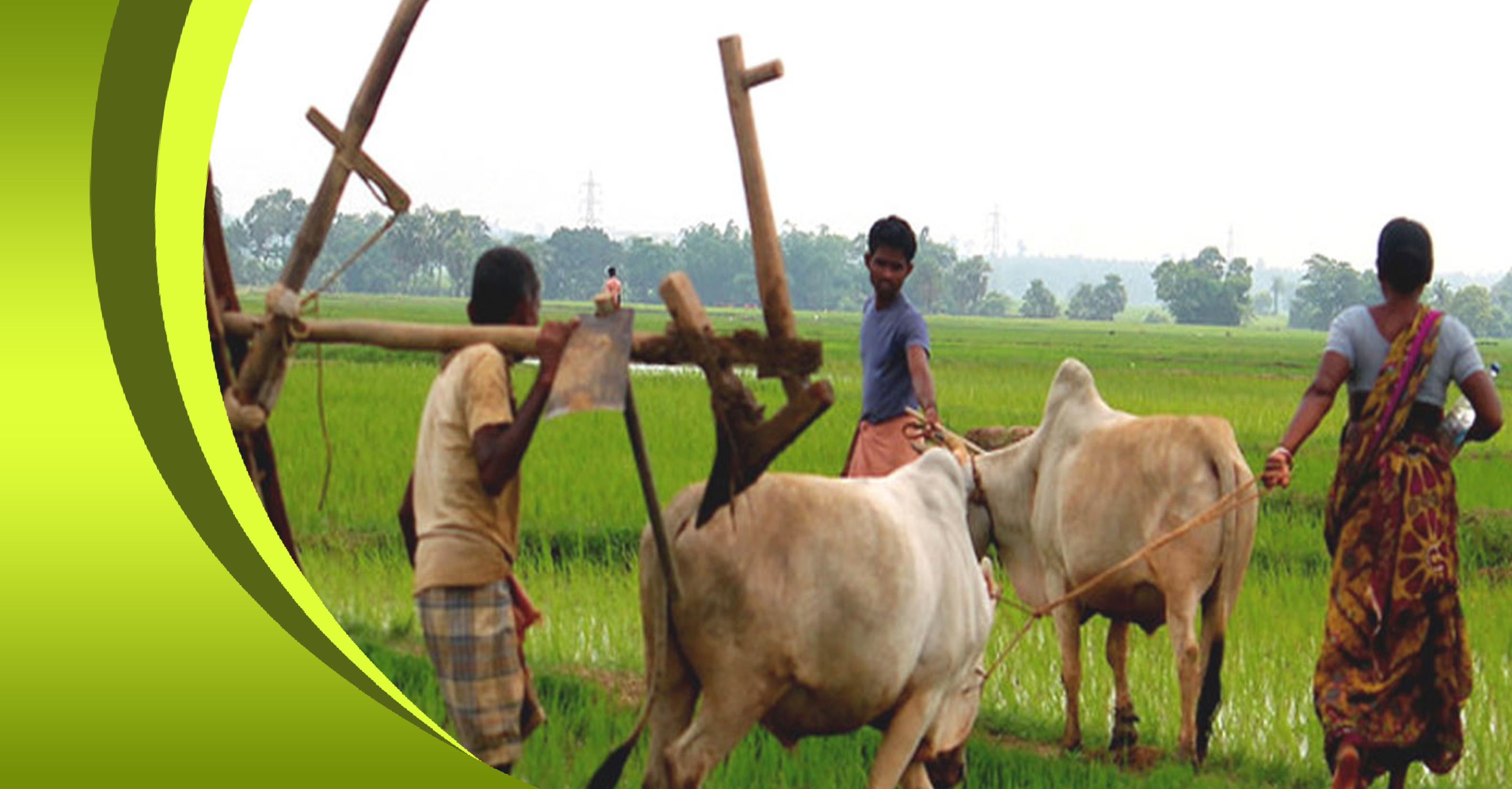 Soil Health Card Scheme: Towards sustainable agriculture Soil Health Card Scheme: Towards sustainable agriculture