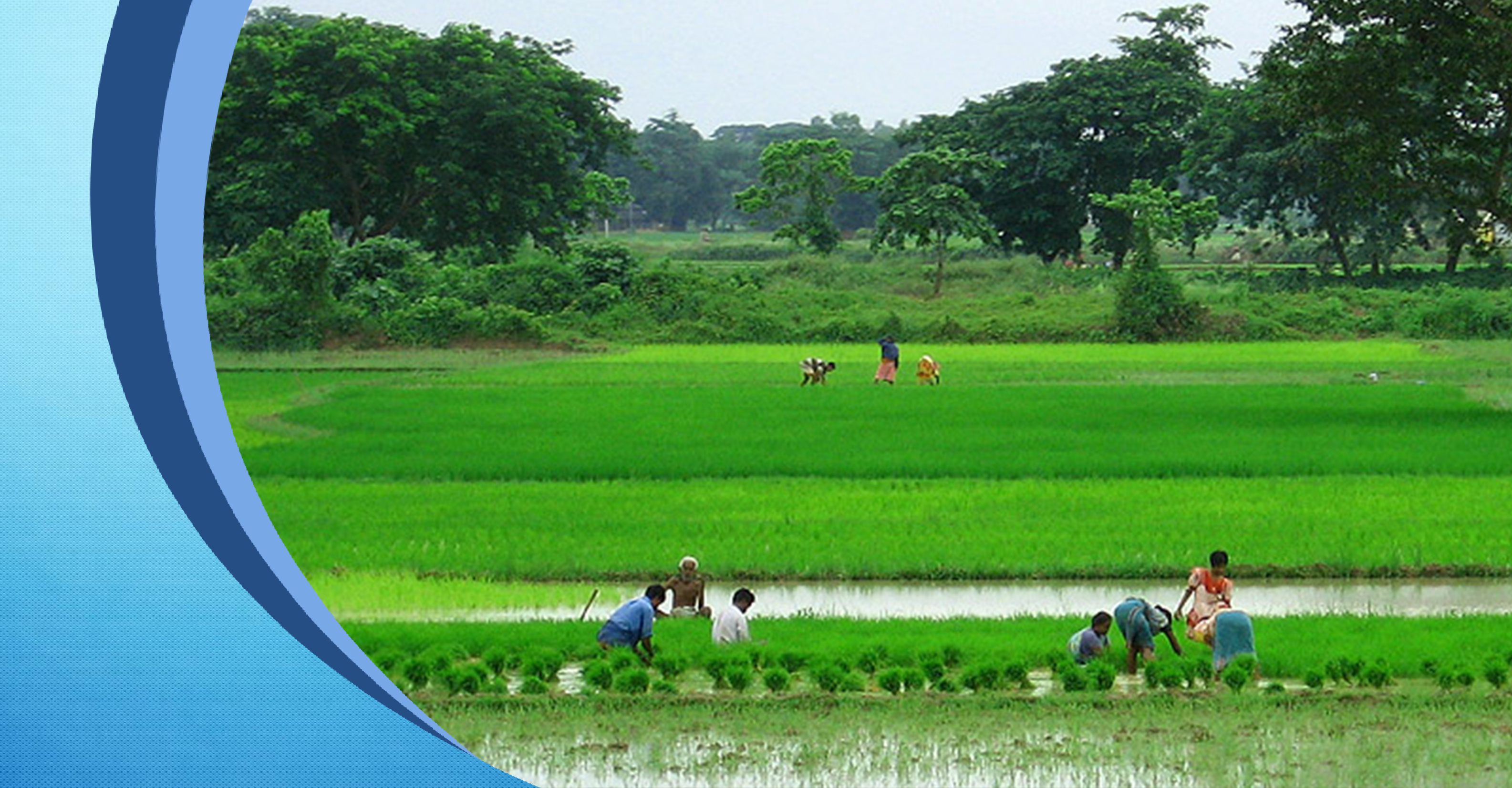 E-governance in agriculture through Matir Katha