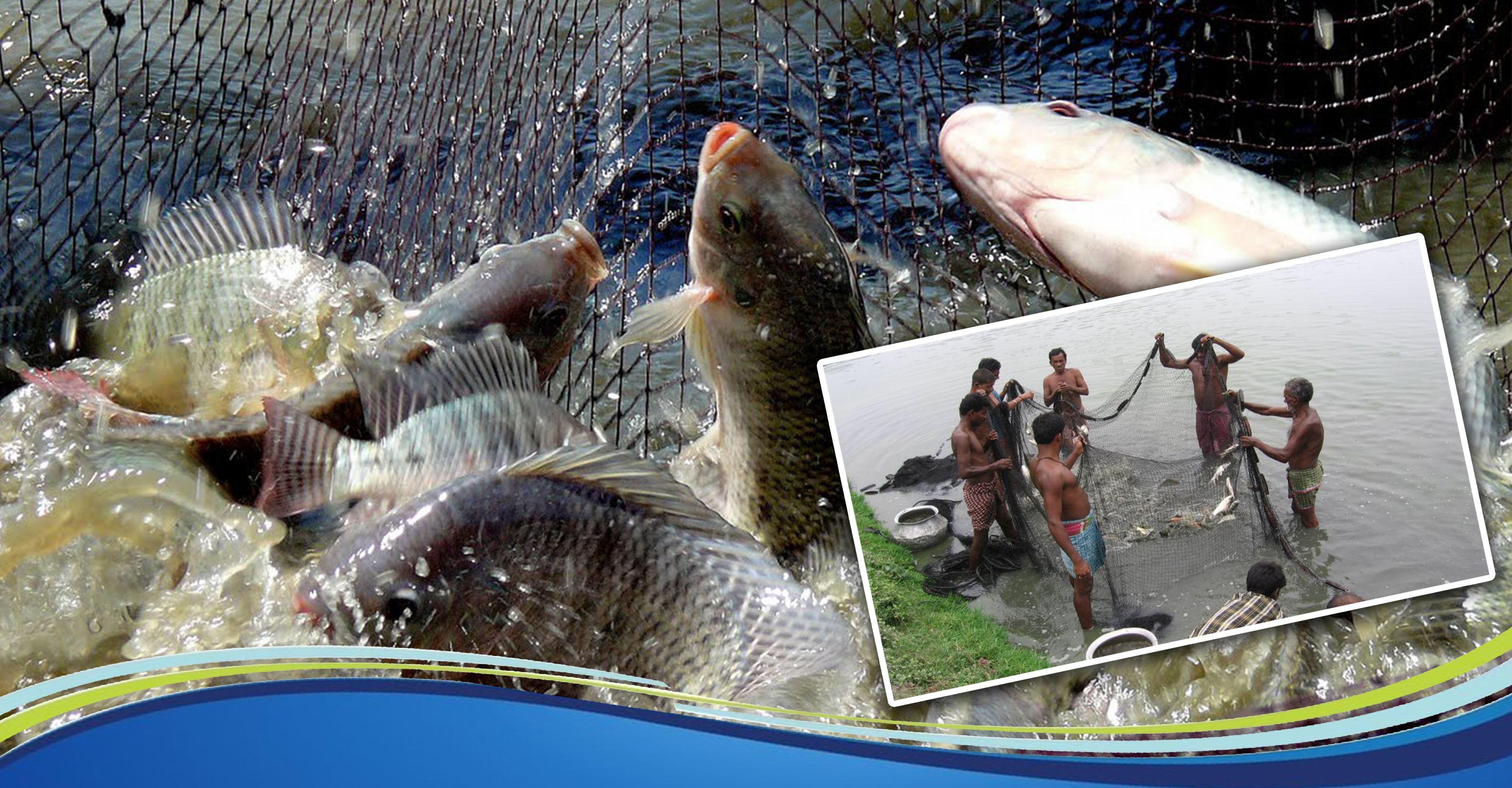State Govt looking after all aspects of fishermen’s welfare