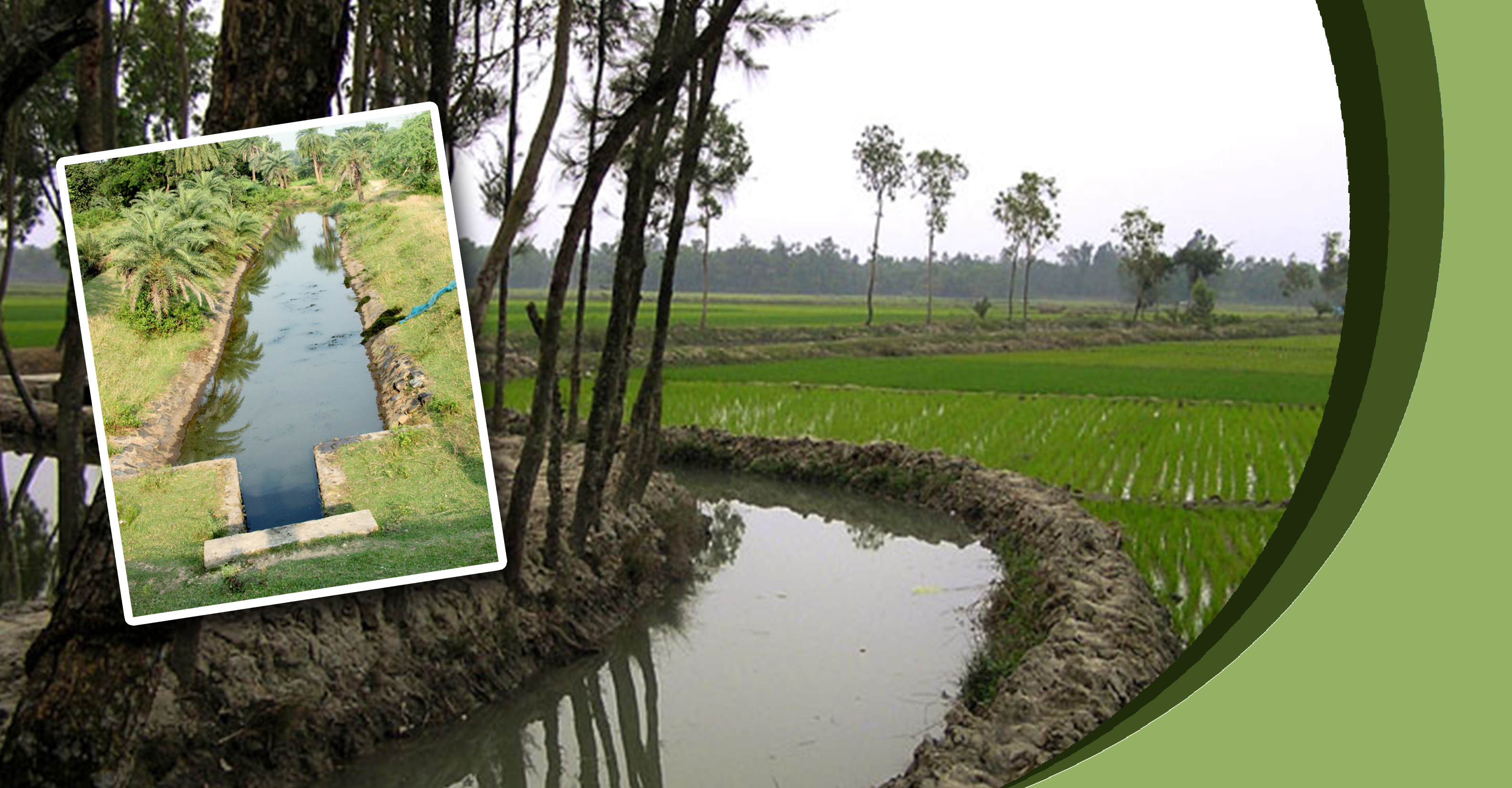 Major administrative reforms by the Irrigation Department Major administrative reforms by the Irrigation Department
