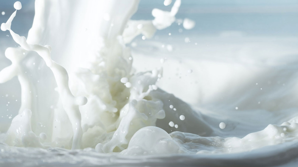 Dairy farmers to get additional subsidy of Rs 2 per litre from State Govt