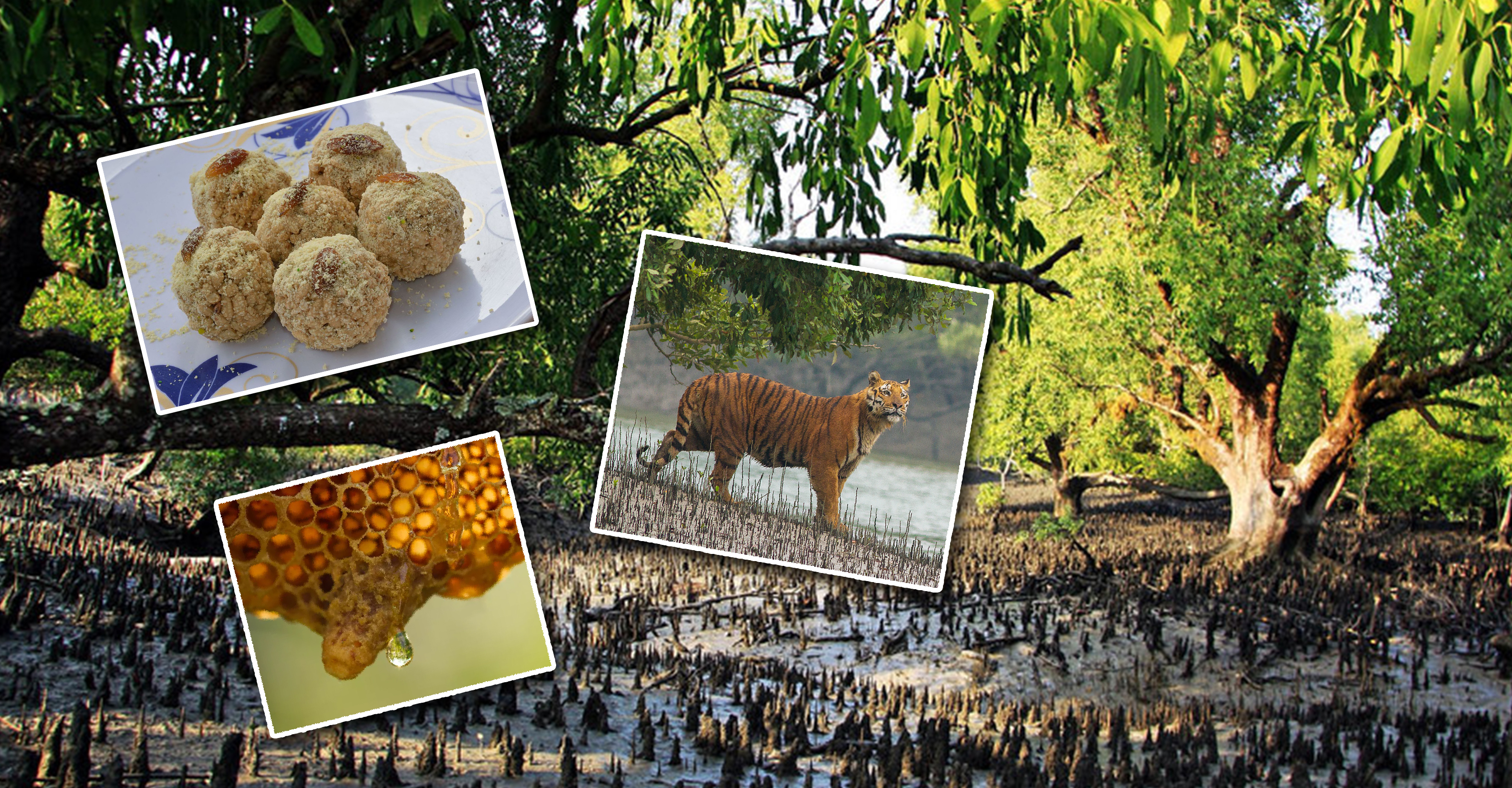 Developmental activities taken up in South 24 Parganas
