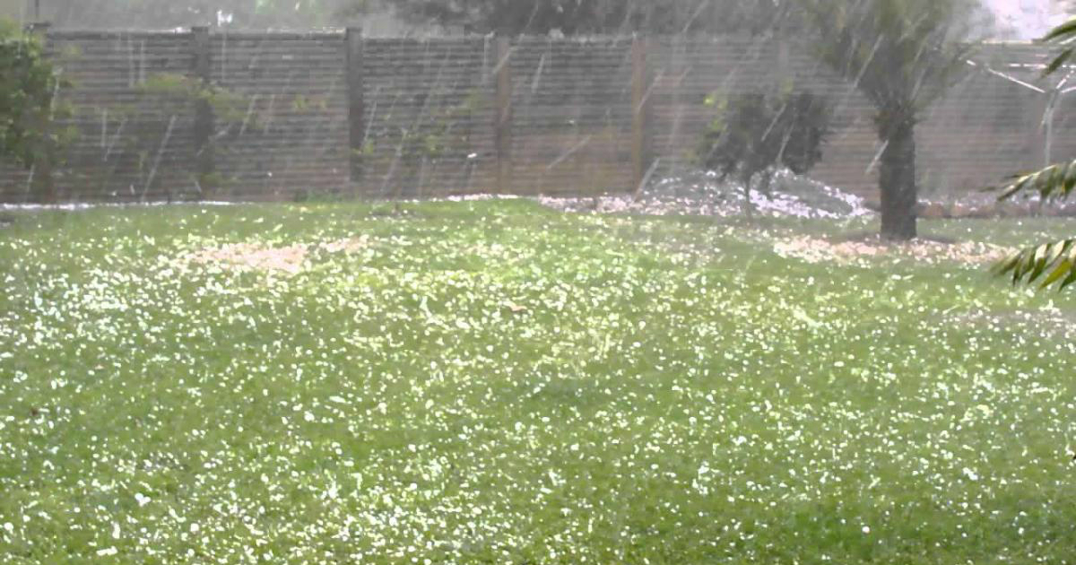 Bengal Govt to give financial aid to farmers affected by hailstorms