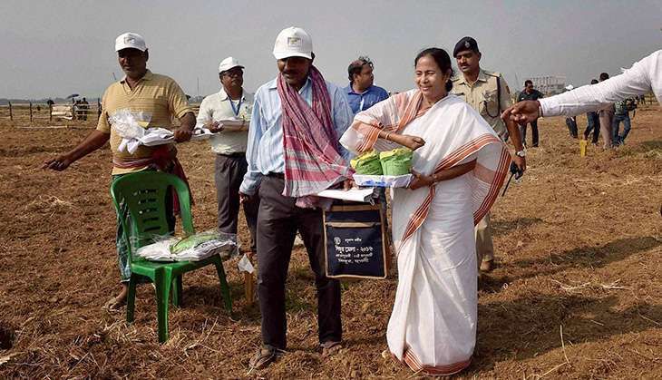 Record aman paddy production in Singur