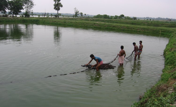2.5 lakh ponds created in seven years: Bangla CM