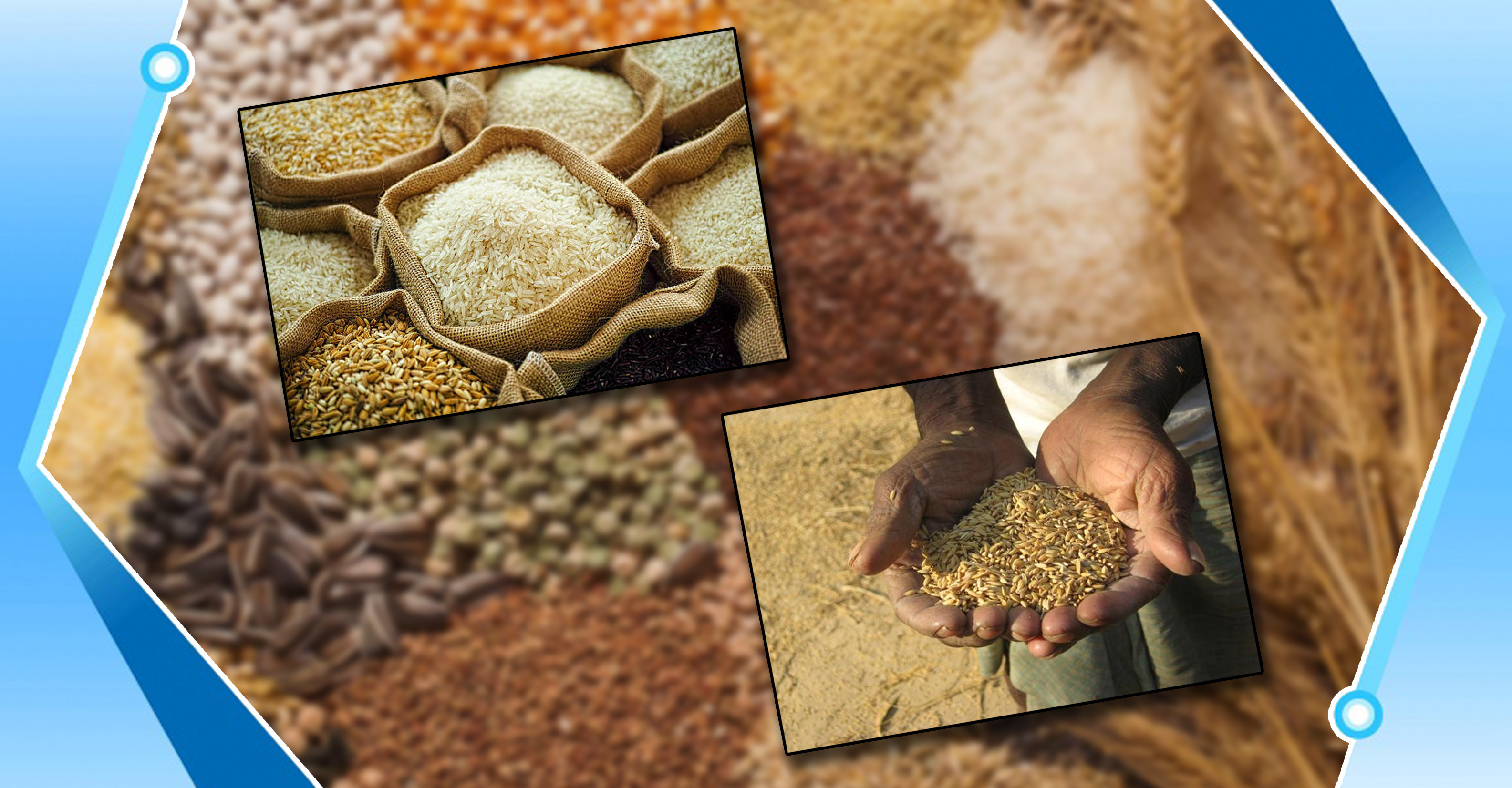 Khadya Sathi: Food security for Bangla