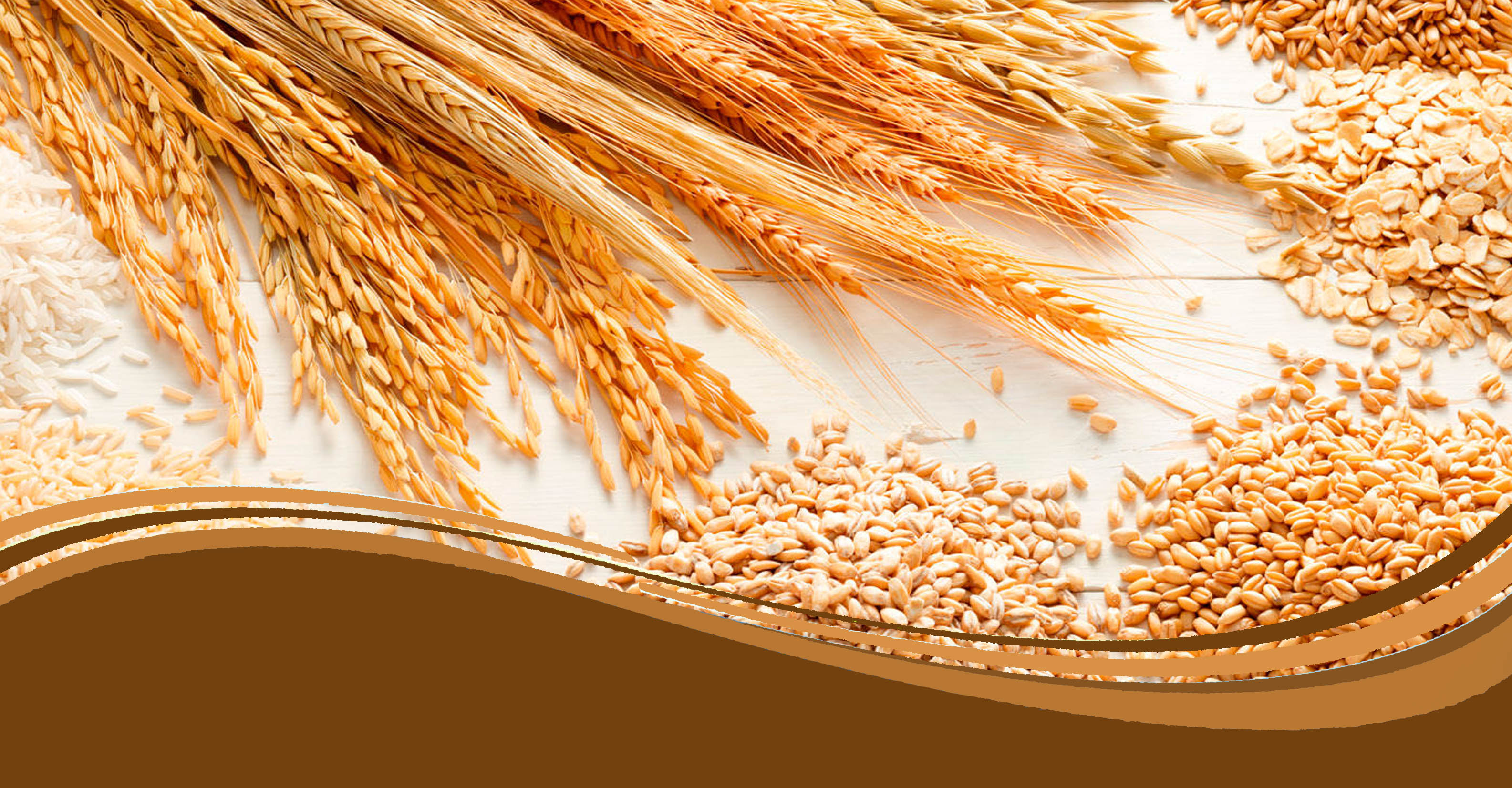 Research scholars to help State Govt increase foodgrain productivity