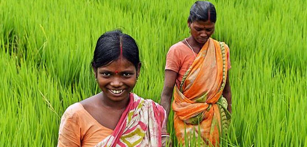 Bangla Govt ensuring farmers’ welfare with old-age pension