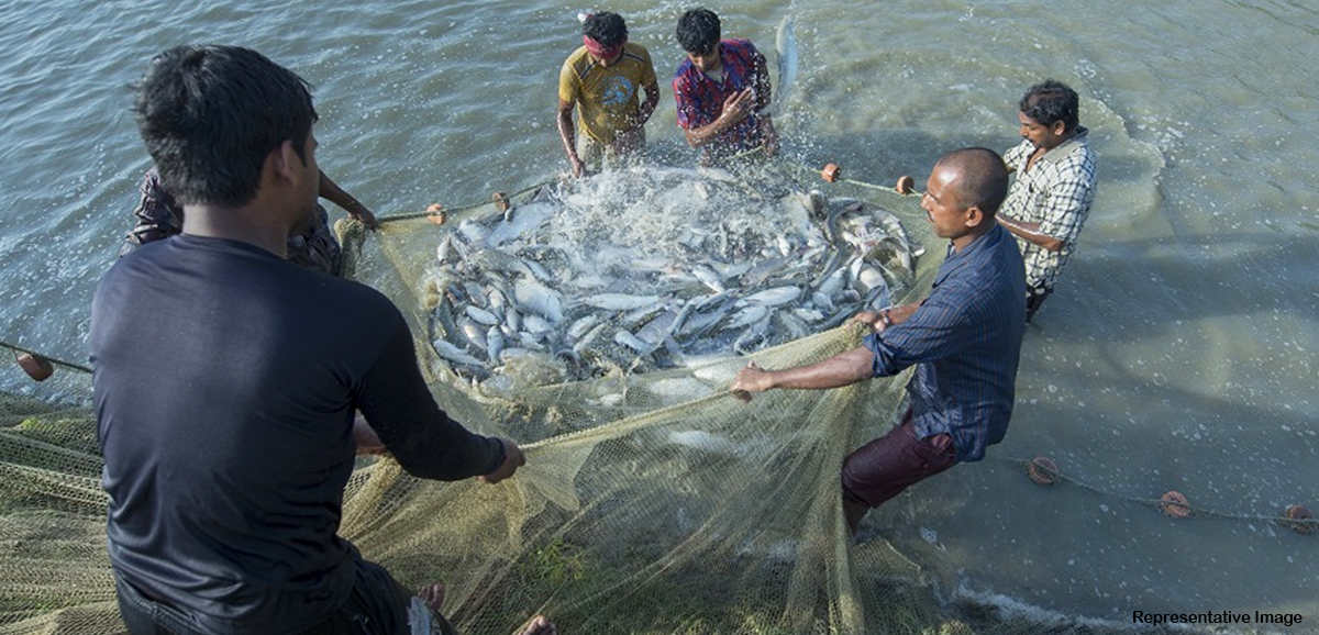 ‘Meen Mitras’ to help increase production and sale of fish