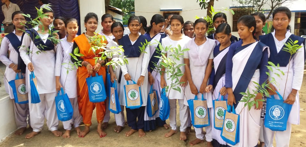 State Govt plans increasing greenery in schools 