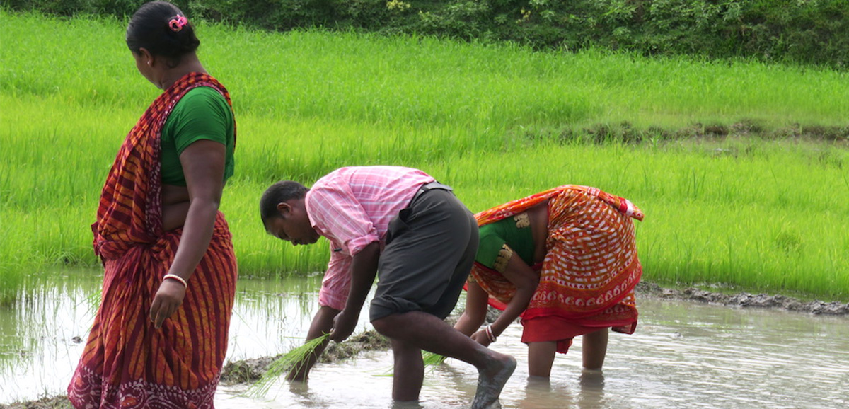 State Govt setting up met observatories for farmers