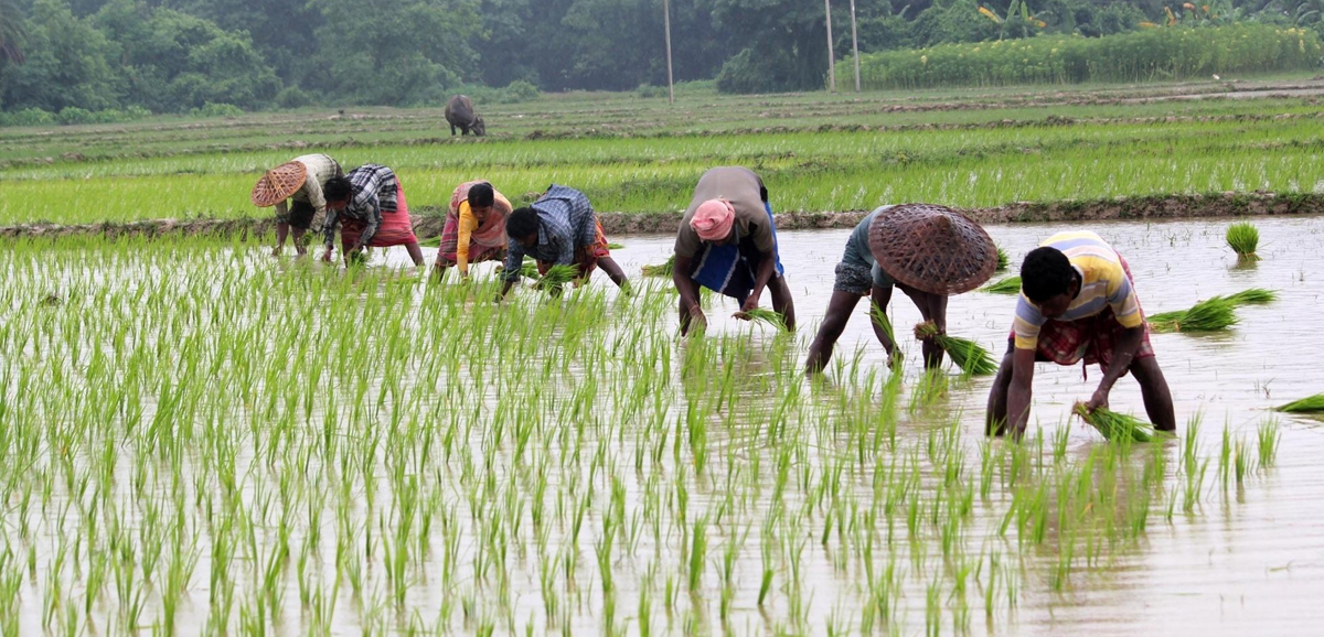 Technological interventions for farmers and SHGs