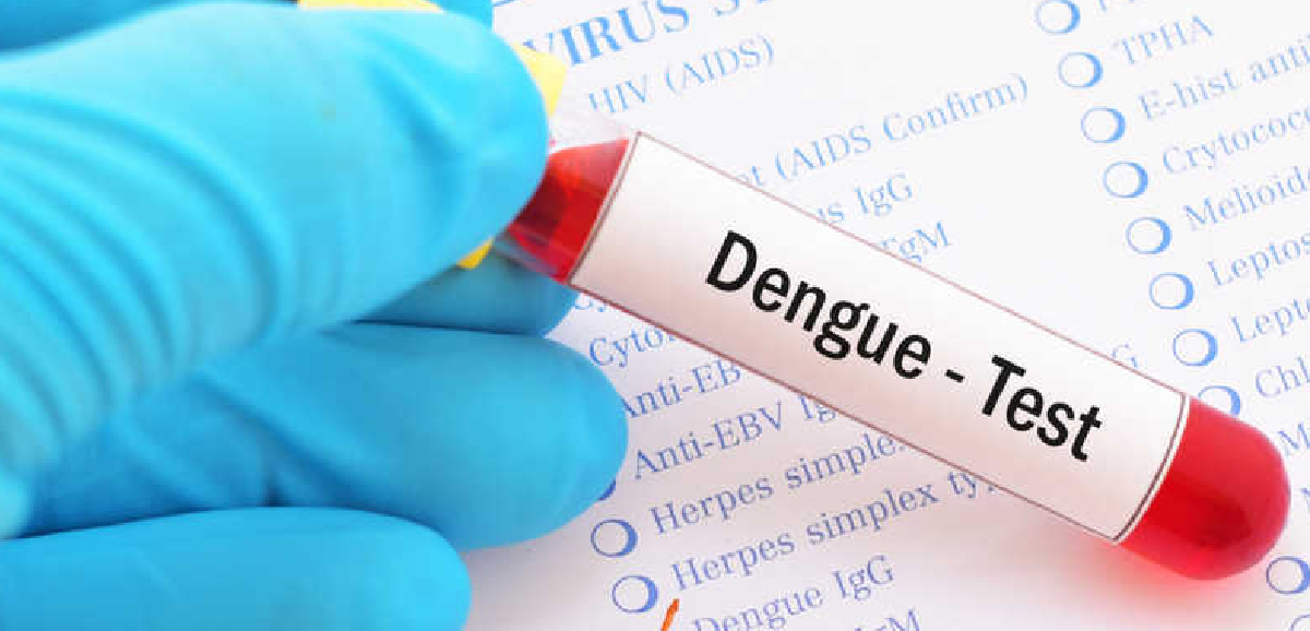Anti-dengue rallies by KMC on Feb 8