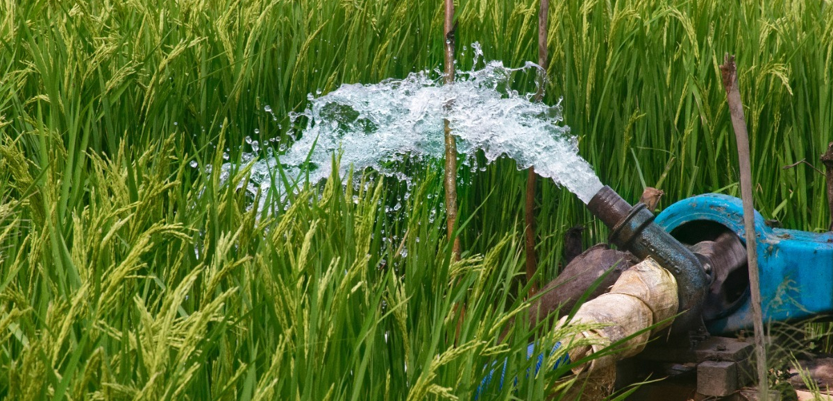 Chief Minister approves mega irrigation project Chief Minister approves mega irrigation project